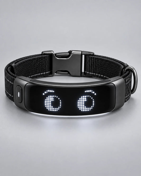PawSense Smart Collar in charcoal